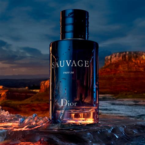 dior sauvage cologne oil|Dior Sauvage cologne for men.